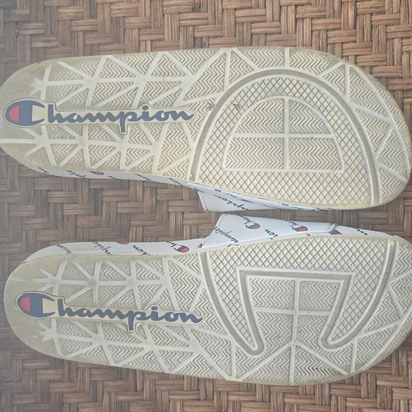 Champion Slides - Picture 3 of 5